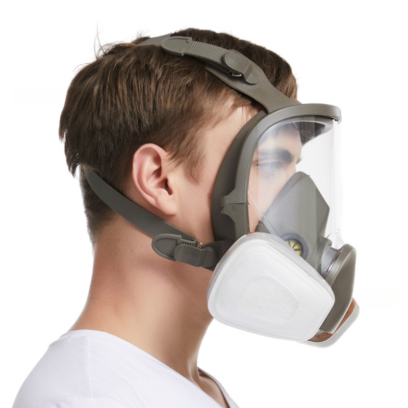Anti-Fog 6800 Gas Mask Industr - Anti Pollution Mask 评论和价格