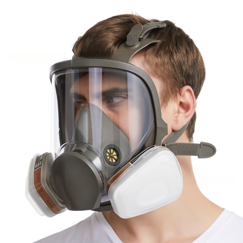 Anti-Fog 6800 Gas Mask Industr - Anti Pollution Mask 评论和价格